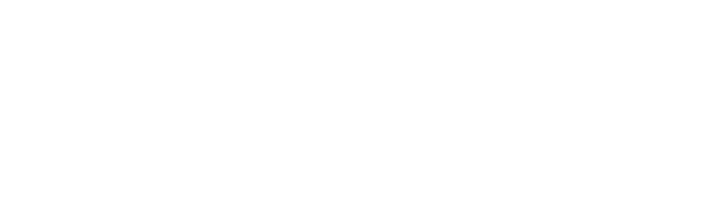 Discover Blair County Logo Horizontal_Discover Blair County Horizontal White