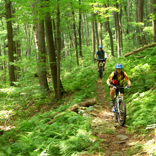 PEAKS & VALLEYS Image